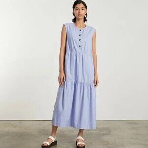 Everlane Blue Striped Maxi